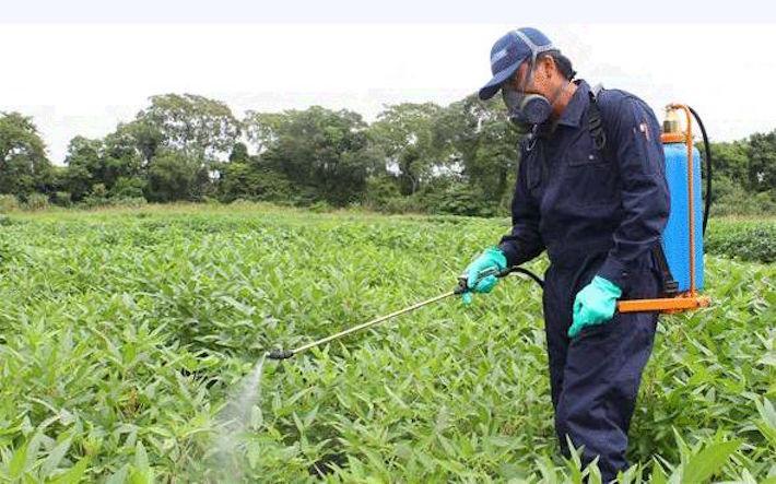 Vila-real activa un nou taller d’ocupació per a donar una oportunitat a 36 persones