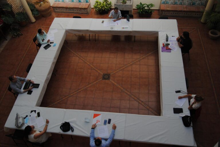 Destinaran 100.000 euros a accions econòmiques, sanitàries i socials per fer front a la crisi del coronavirus