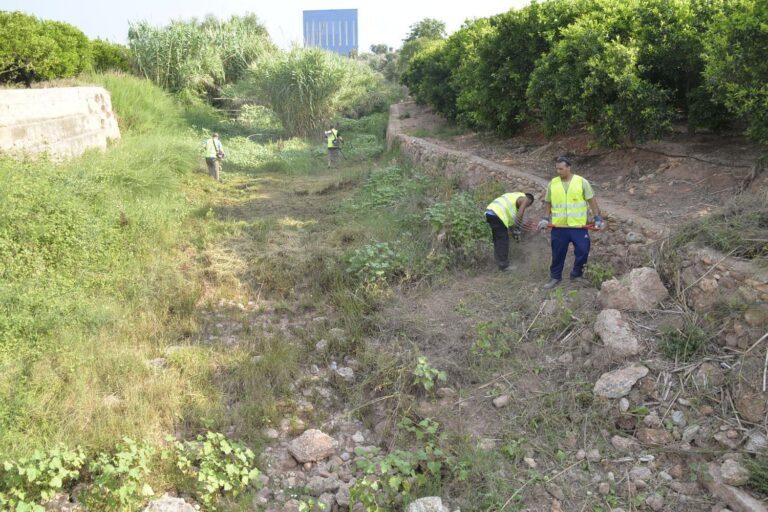 Sorprenen dos caçadors mentre actuaven a una zona prohibida prop de masets