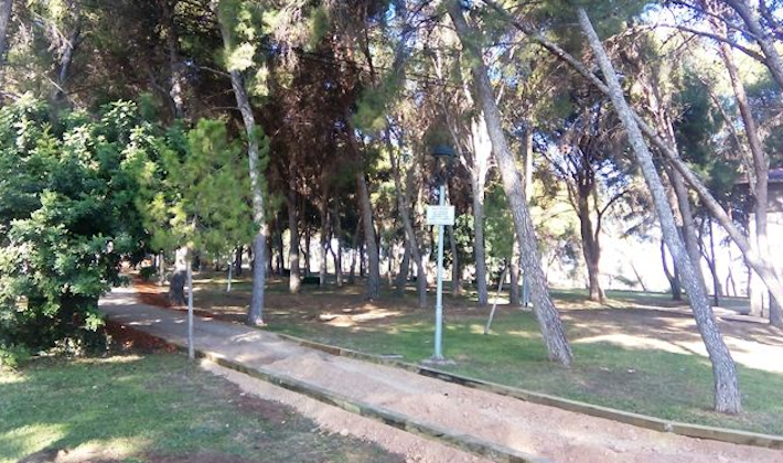 El PP denuncia l’existència de plagues de mosquits i paneroles “per falta de previsió”