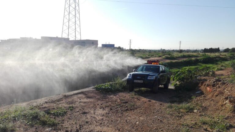 Sanitat aplica un tractament d'urgència antimosquits en detectar-se un focus a l'entorn de la Ciutat Esportiva Pamesa