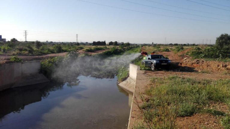 Vila-real ataca el repunt de mosquits en zones humides i vegetació i exigeix a Diputació que es responsabilitze