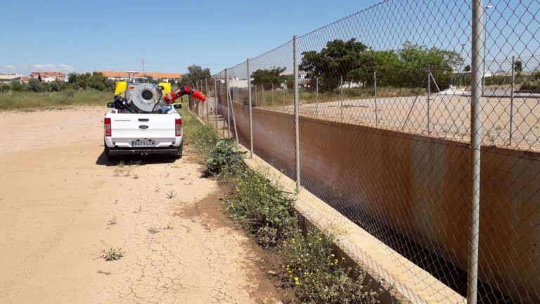 Sanitat reforça les actuacions en el tractament contra els mosquits amb l'arribada de les altes temperatures