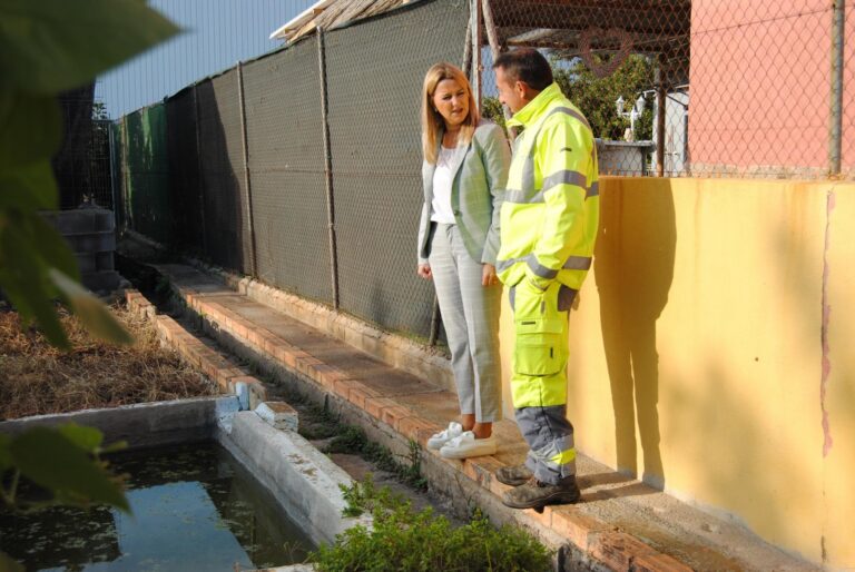 El Pla integral de control de mosquits sancionarà a propietaris de parcel·les privades que no actuen contra focus