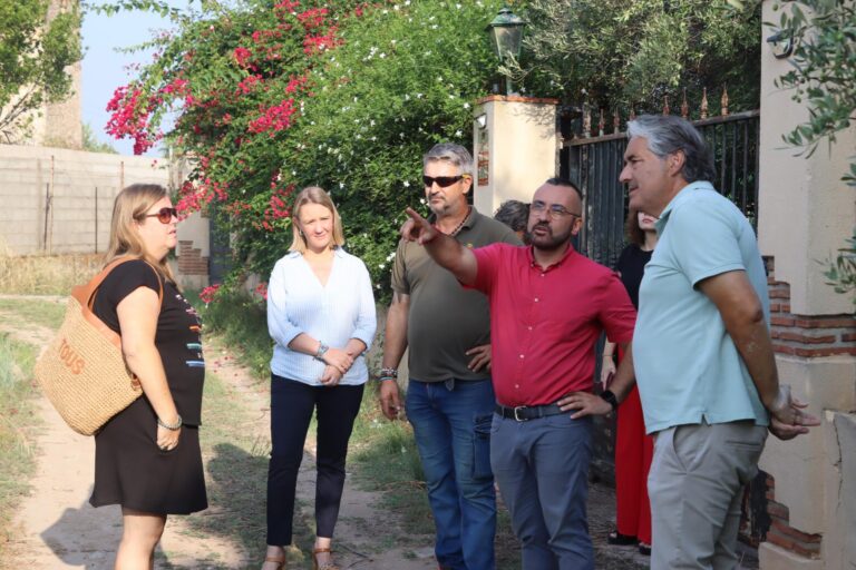 Vila-real estudia accions i zones per a atallar la superpoblació de senglars pel terme