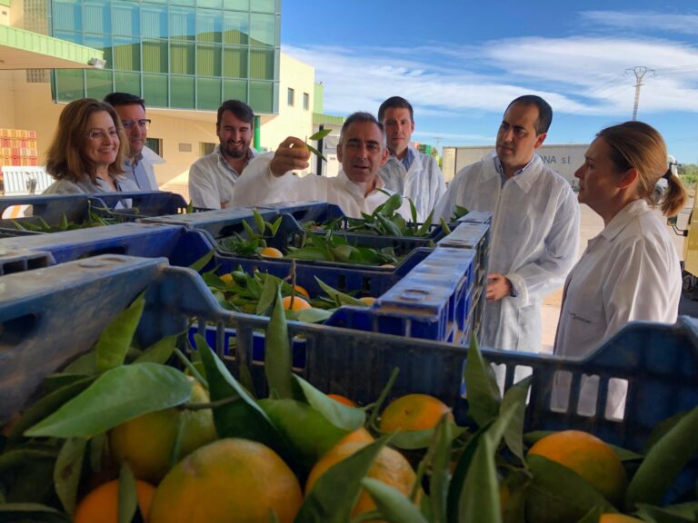 El PPCS mostra el seu suport al sector citrícola i als agricultors de Vila-real amb la visita a Real Export