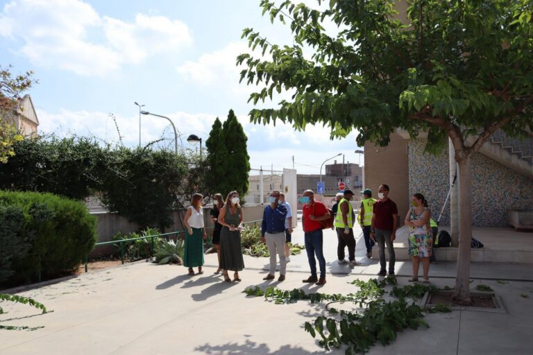 Supervisen les llavors del Pla de retorn a l'escola, perquè quede tot enllestit de cara al setembre