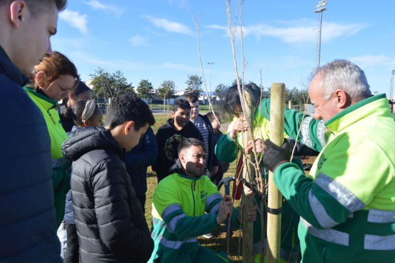 Vora 600 escolars planten arbres a la CEM per a fer créixer el pulmó verd de Vila-real 