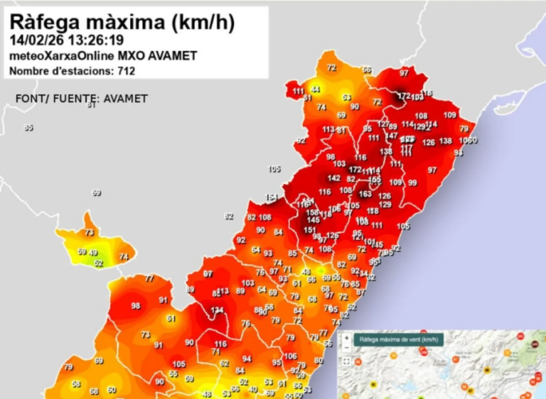 El fort vent a Vila-real provoca danys materials i la caiguda d’arbres en parcs i zones naturals