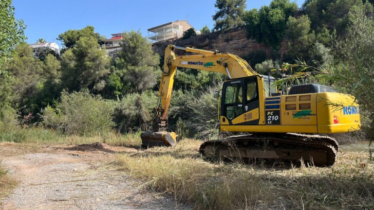 Vila-real restaurarà prop de 6.000 metres quadrats d’hàbitats de ribera al Millars amb una inversió de 134.000 euros
