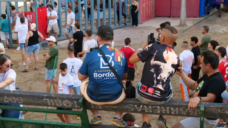 Els bous de La Campana recorren els carrers de Vila-real