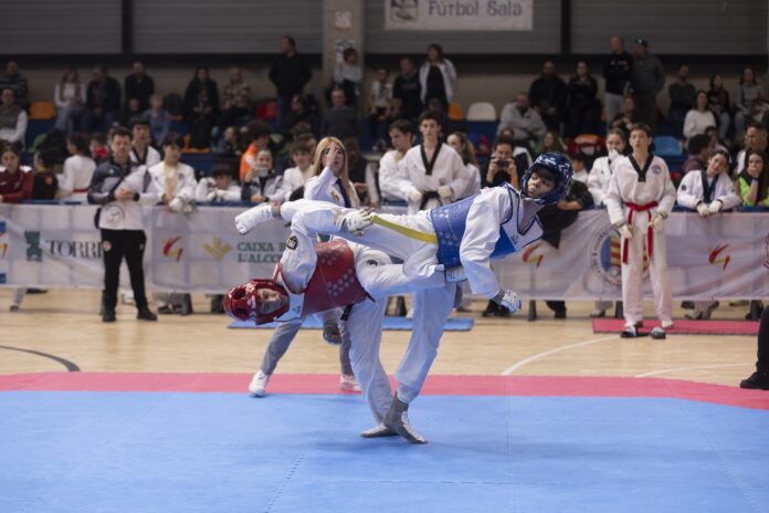 Open Internacional de Taekwondo